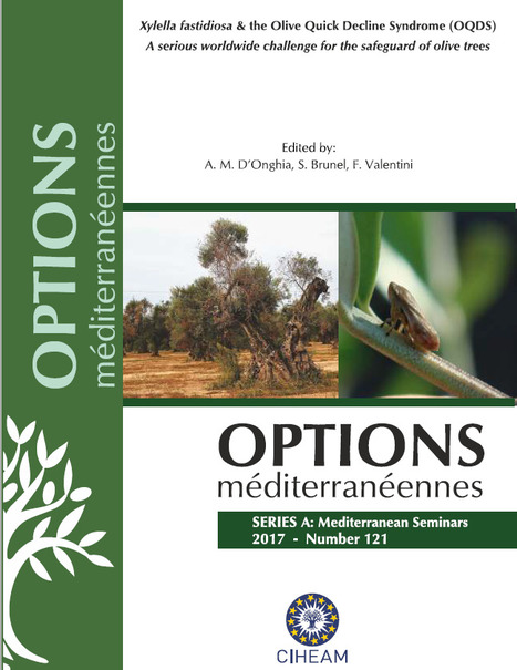 Ciheam new publication | Options Méditerranéennes " Xylella fastidiosa & the Olive Quick Decline Syndrome (OQDS). A serious worldwide challenge for the safeguard of olive trees" | CIHEAM Press Review | Scoop.it