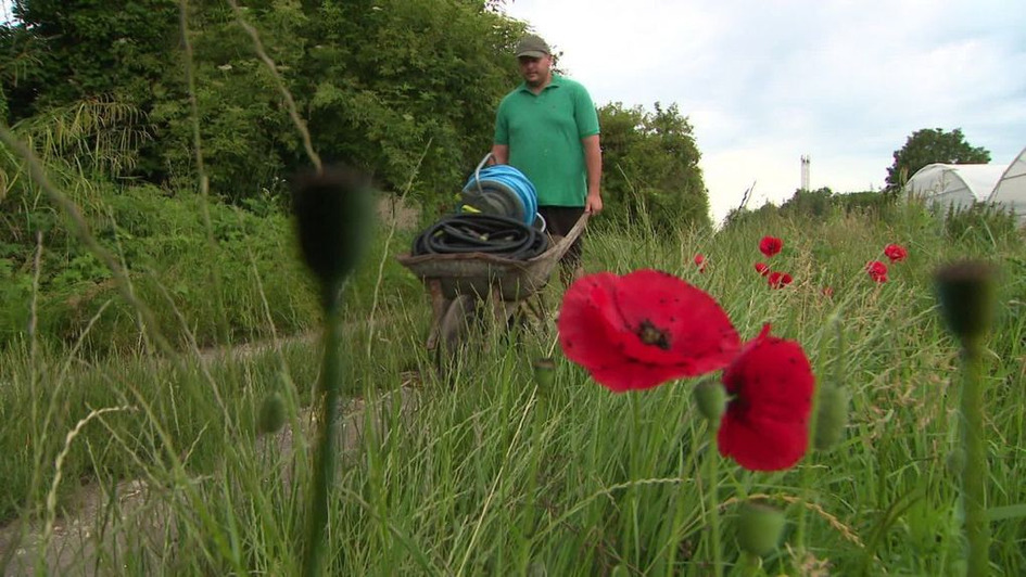 Un test grandeur nature pour cr&eacute;er sa propre exploitation agricole | Une semaine d'actu - Newsletter de veille de l'AURH | Scoop.it