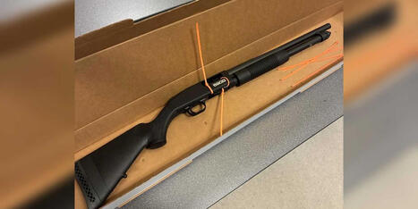 Police fatally shoot suspect who had shotgun shells with 'threatening messages' for Trump - Raw Story | Backstabber Watch | Scoop.it