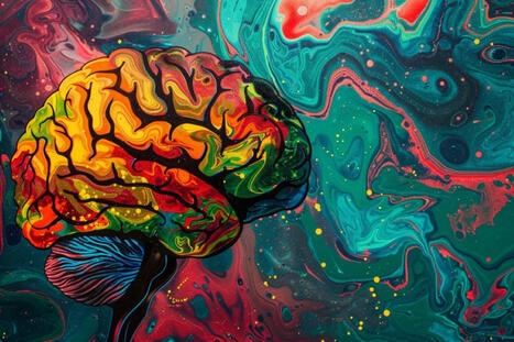 Mind-Bending: Psilocybin Reshapes Brain Networks for Weeks | Healthcare: reloaded... | Scoop.it