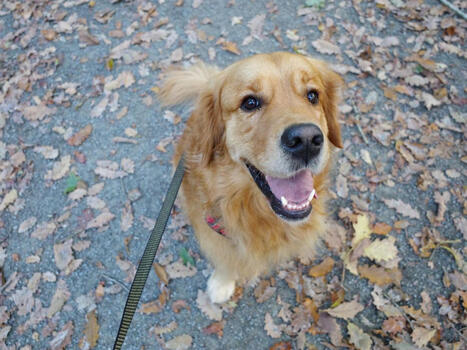 10 bonnes nouvelles et belles d&eacute;couvertes scientifiques de novembre 2025 | @ZeHub | Scoop.it