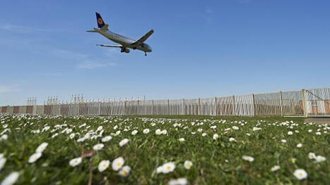 Greenwashing : 21 compagnies aériennes européennes renoncent à utiliser un « langage écologique vague » | AERONAUTIQUE NEWS - AEROSPACE POINTOFVIEW - AVIONS - AIRCRAFT | Scoop.it