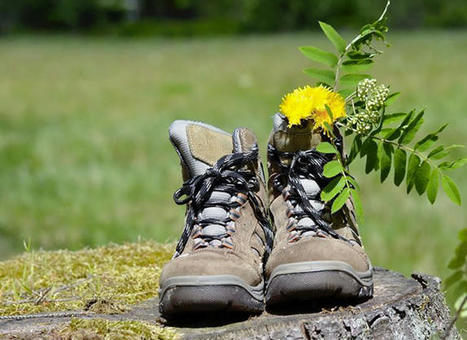 Adidas se lance dans la location d’équipements outdoor - Fédération Française de la Randonnée Pédestre | Tourisme de randonnées                                                                                                                                                                                 & Sports de nature pour les pros | Scoop.it