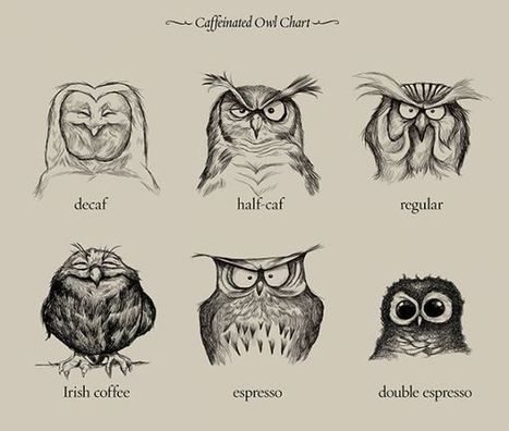Caffeinated Owls | Drawing References and Resources | Scoop.it