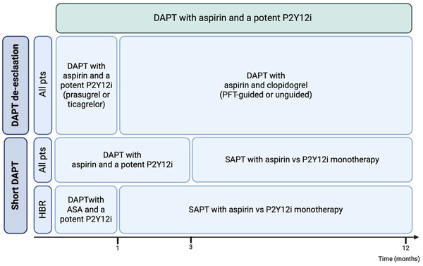 Current Strategies to Guide the Antiplatelet Therapy in Acute Coronary Syndromes | Interventional Cardiology | Scoop.it