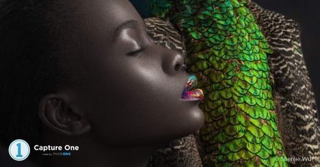 Phase One Expands Fujifilm GFX Support to Capture One | Fujifilm GFX | Scoop.it