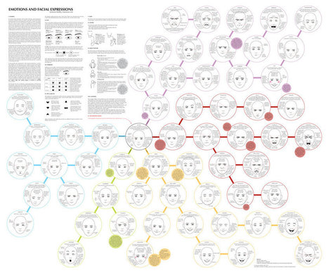 Emotions and Facial Expression Reference Guide | Drawing References and Resources | Scoop.it