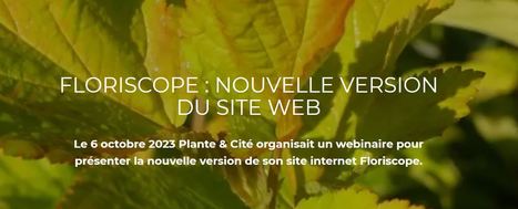 Floriscope : nouvelle version du site web | HORTICULTURE | Scoop.it