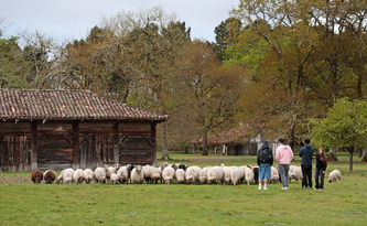 Landes&nbsp;: une nouvelle saison d&eacute;bute pour l&rsquo;&Eacute;comus&eacute;e de Marqu&egrave;ze, ouvert tous les jours du&nbsp;1er&nbsp;avril au&nbsp;27&nbsp;septembre | Landes - Conseils municipaux & communautaires | Scoop.it