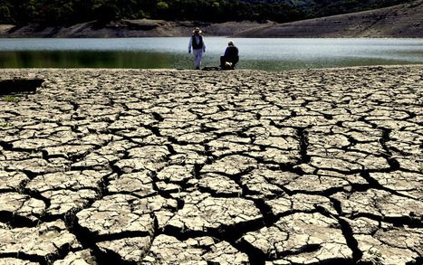 Nestle Continues Stealing World’s Water During Drought | Disease mongering | Scoop.it