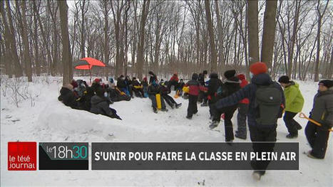 L'école en plein air : une méthode qui fait son chemin au Québec | Revue de presse - Fédération des cégeps | Scoop.it