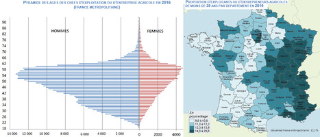 Les chefs d'exploitation et d'entreprise agricole en 2016 - Étude MSA | Lait de Normandie... et d'ailleurs | Scoop.it