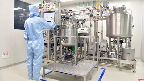 From Lab to Production Line: Key Aspects of Bioreactors in Vaccine Applications | Shizhou Liu | Immunology and Biotherapies | Scoop.it