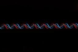 Un « ciseau à couper l'ADN » révolutionne la génomique | Lait de Normandie... et d'ailleurs | Scoop.it