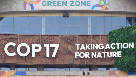 COP 17&nbsp;: pour pr&eacute;server la biodiversit&eacute;, les &Eacute;tats accepteront-ils la contrainte&nbsp;? Radio France | Biodiversit&eacute; | Scoop.it