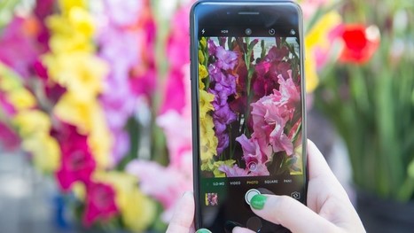 Apple livre ses secrets pour réussir des photos parfaites avec un iPhone | Freewares | Scoop.it