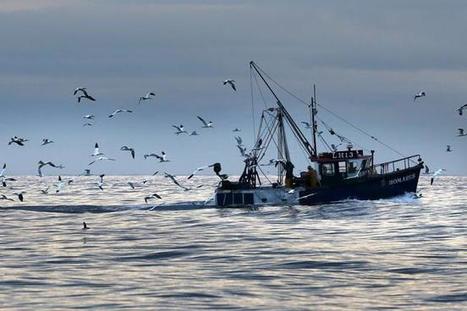 MPs meet in Aberdeen to discuss effect of Brexit on Scottish fisheries | EUROPES | Scoop.it