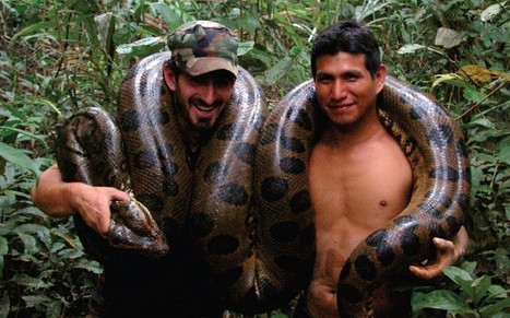 What it's like to live in the Amazon rainforest - Telegraph.co.uk | Rainforest CLASSROOM | Scoop.it