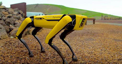 Hyundai purchases Boston Dynamics, maker of Spot dog robot, for $921M | #Acquisitions #Robotics | 21st Century Innovative Technologies and Developments as also discoveries, curiosity ( insolite)... | Scoop.it