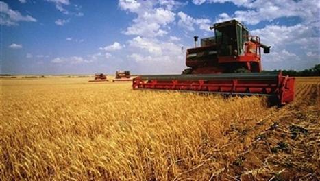 Après une très belle année, le blé russe va s'exporter davantage | CONFLIT RUSSO-UKRAINIEN | Scoop.it