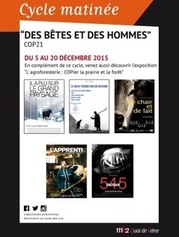 Cycle Des b&ecirc;tes et des hommes | Actualit&eacute;s de l'&eacute;levage | Scoop.it