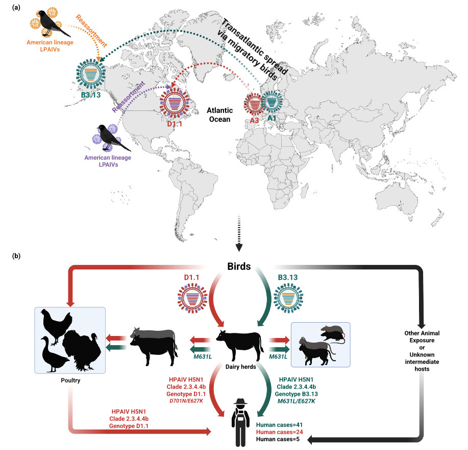 Highly Pathogenic Avian Influenza H5N1 in the U...