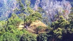 Par l&eacute; o Par l&eacute; ba : " Le parc national de La R&eacute;union" - 1&egrave;re partie - le 27 mars &agrave; 21H sur R&eacute;union 1&egrave;re | Biodiversit&eacute; | Scoop.it