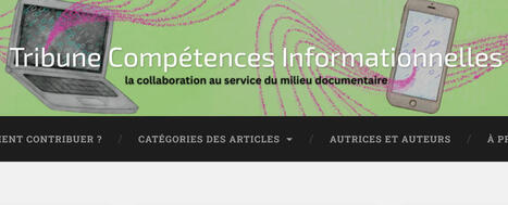 [Ressource] Tribune comp&eacute;tences informationnelles : identit&eacute; professionnelle | Bulletin des biblioth&egrave;ques de France | Veille pour les concours des biblioth&egrave;ques | Scoop.it