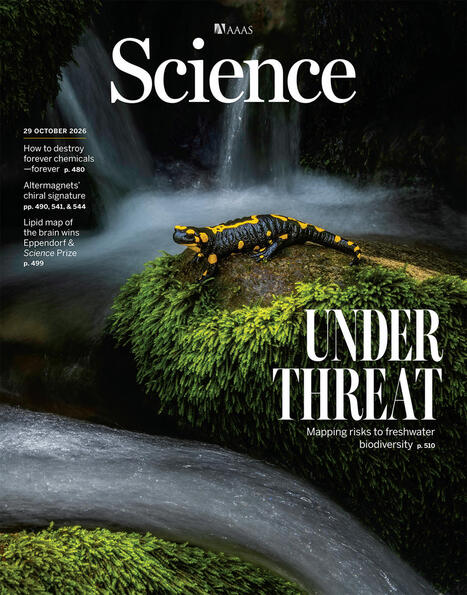 Science 394, 6823 - 29/10/2026 | Biodiversit&eacute; | Scoop.it