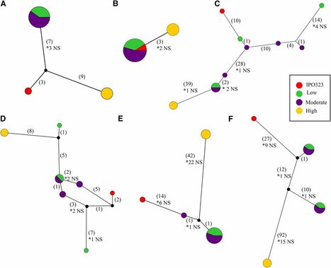 G3: Utilizing Gene Tree Variation to Identify Candidate Effector Genes in Zymoseptoria tritici (2019) | Plant Pathogenomics | Scoop.it