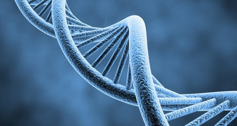 Nanogrande invente l'impression 3D moléculaire | Veille sur les technologies d'impression 3D | Scoop.it