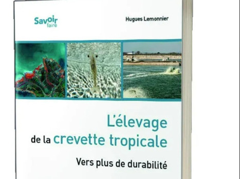 Versailles : la fili&egrave;re crevette face aux d&eacute;fis de la durabilit&eacute; | HALIEUTIQUE MER ET LITTORAL | Scoop.it