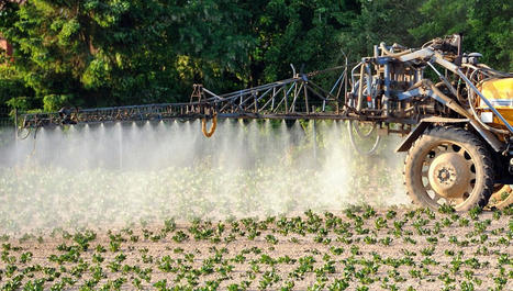 Près d’un milliard d’euros gaspillés : enquête sur le fiasco du plan anti-pesticides | Les Colocs du jardin | Scoop.it