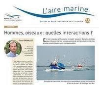 L'aire marine 35 est en ligne !  Agence des aires marines protégées | Biodiversité | Scoop.it