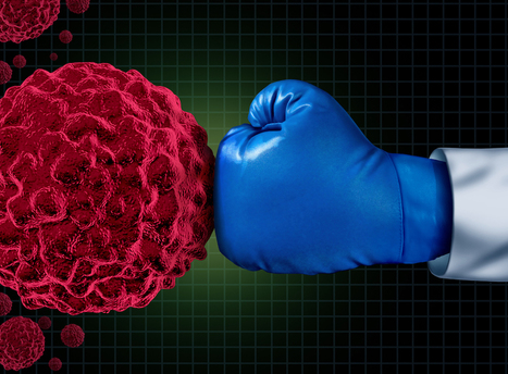 Les checkpoints immunitaires : une nouvelle cible dans le traitement du cancer du rein | Life Sciences Université Paris-Saclay | Scoop.it