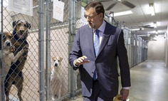 Tras la recuperación de Teresa, un aterrorizado Rajoy busca un perro parecido a Excalibur | Partido Popular, una visión crítica | Scoop.it