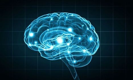 Neurologie : le cerveau des femmes plus actif ? | Médecine  Cerveau Intelligence | Scoop.it