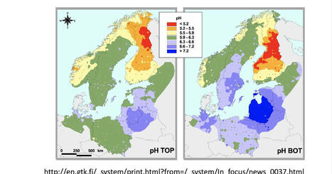 Kemppinen: Metsä | 1Uutiset - Lukemisen tähden | Scoop.it