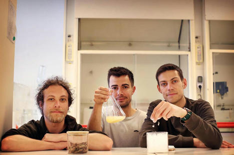 Environnement&nbsp;: la start-up Dionymer l&egrave;ve 1,5&nbsp;million d&rsquo;euros pour son &laquo;&nbsp;bioplastique&nbsp;&raquo; | Les &eacute;co-activit&eacute;s en Gironde | Scoop.it