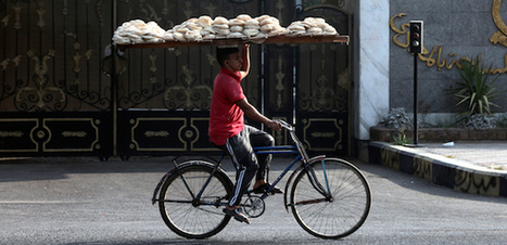 How to Feed Egypt | MED-Amin network | Scoop.it