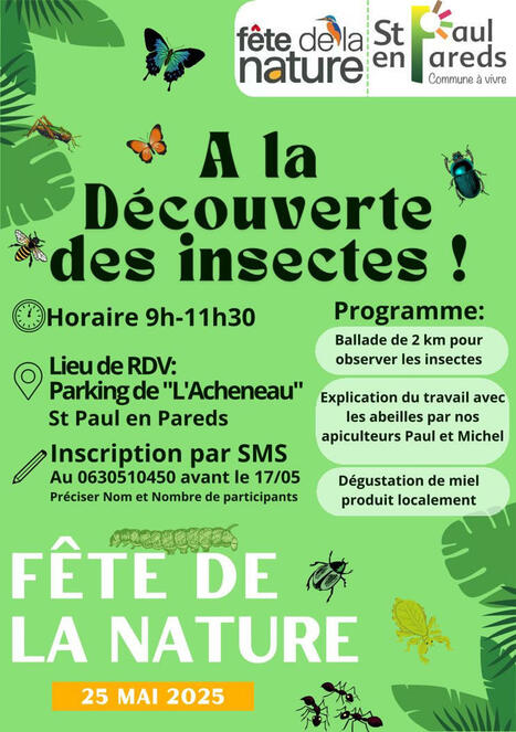 Fête de la Nature : à la découverte des insectes - St Paul en Pareds | Variétés entomologiques | Scoop.it