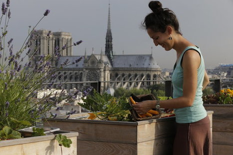 10 bonnes raisons de cultiver des fruits et des légumes en ville | Paris durable | Scoop.it