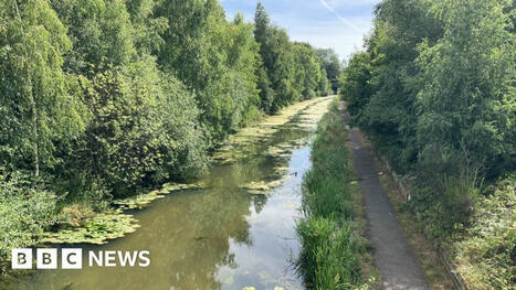 Final stretch of Walsall Canal to reopen after chemical spill / le 28.05.2025 | Pollution accidentelle des eaux par produits chimiques | Scoop.it