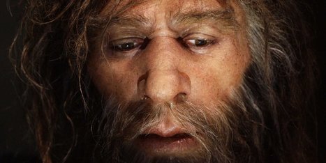 Here's why human women probably struggled to have babies with Neanderthal men | Aux origines | Scoop.it