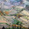 Kunming-Yunnan