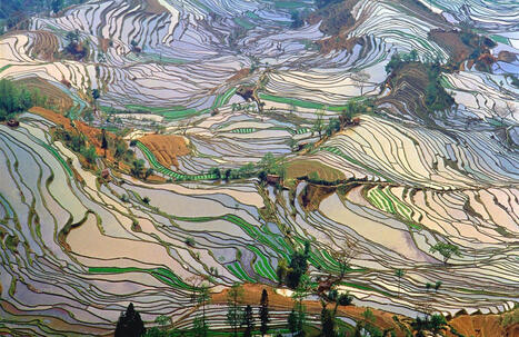 Visiter le Yunnan : 10 incontournables &agrave; faire et voir (Chine) | Kunming-Yunnan | Scoop.it
