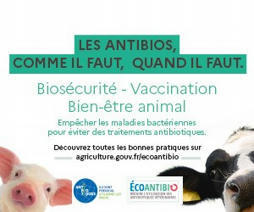 Récolter des données pour les analyser et les vendre : Google va-t-il répliquer sa stratégie au monde agricole ? - Pleinchamp | Pour innover en agriculture | Scoop.it