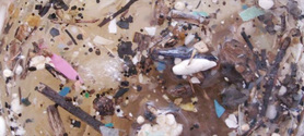 290 milliards de microplastiques en Méditerranée | CIHEAM Press Review | Scoop.it