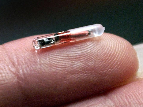 CNET : "Les puces RFID sous-cutanées suscitent l'intérêt de plus en plus d'entreprises | Ce monde à inventer ! | Scoop.it