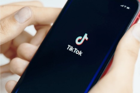 Gratuit 2023 : Le guide pour bien utiliser TikTok et réussir | information analyst | Scoop.it